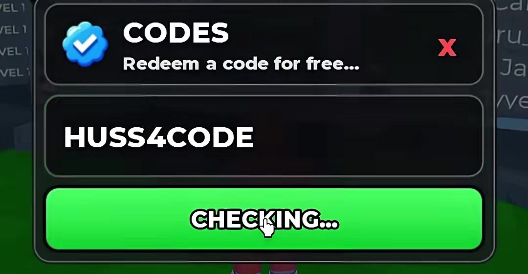 Huss Valley CODES window with HUSS4CODE typed and the button reading Checking